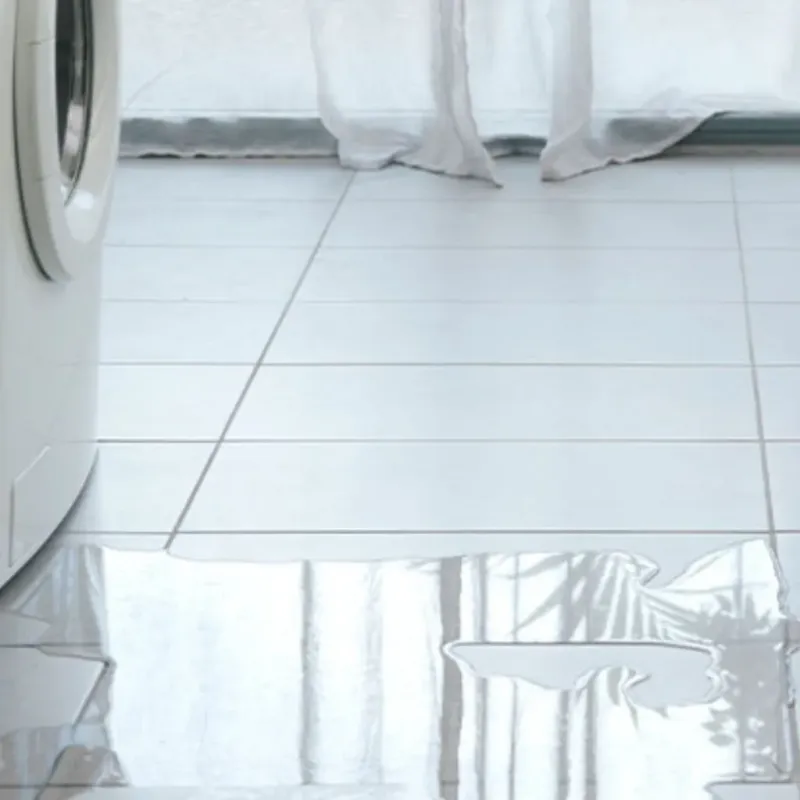 Appliance Leak Cleanup in Camden, AL