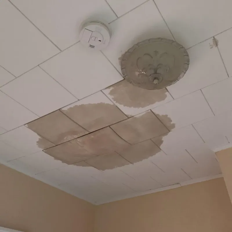 Ceiling Water Damage Repair in Camden, AL