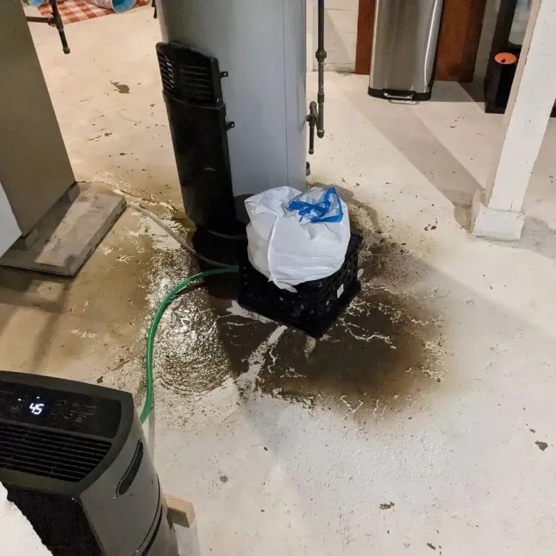 Sewage Backup Cleanup Service in Camden, AL